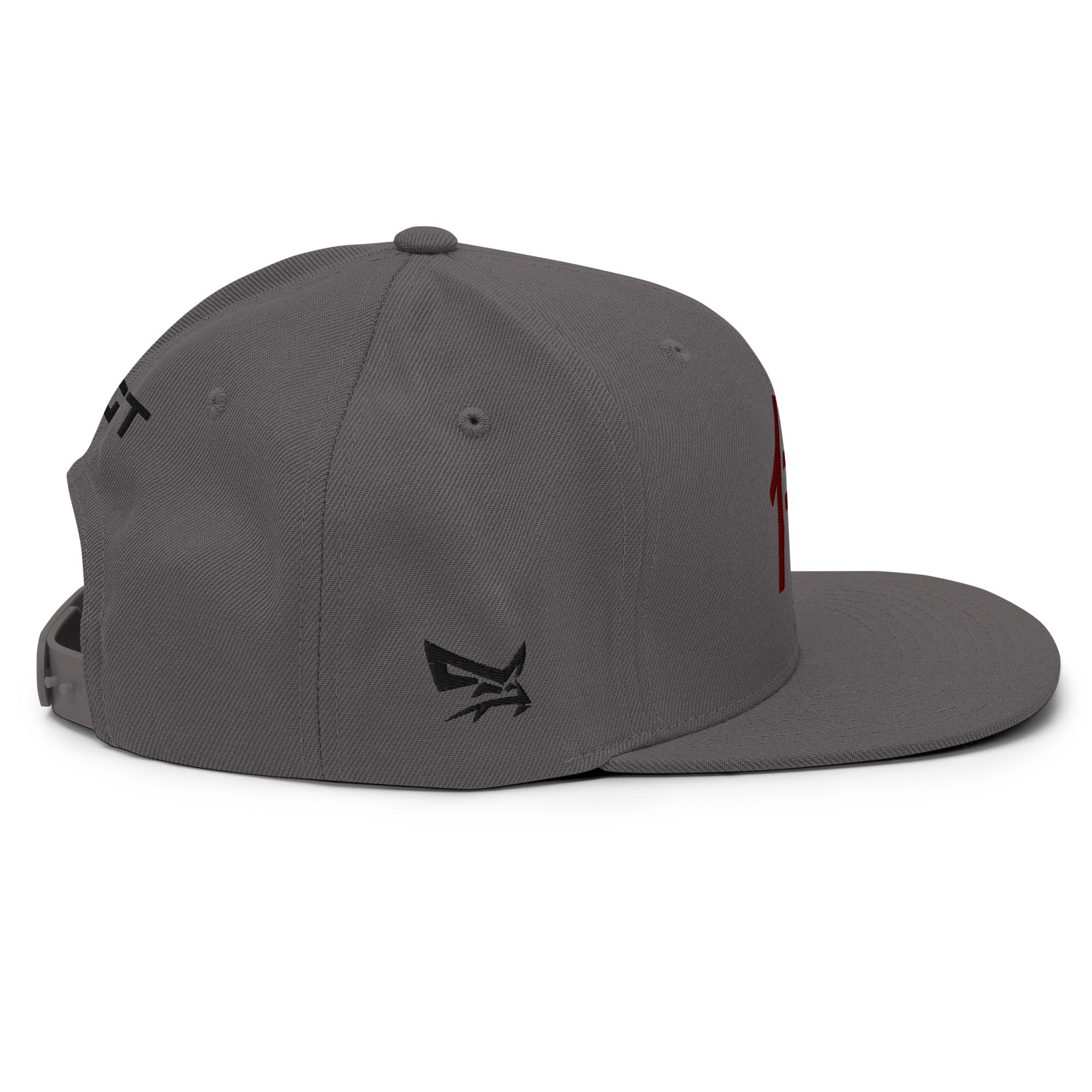 TGT Samurai Snapback Cap