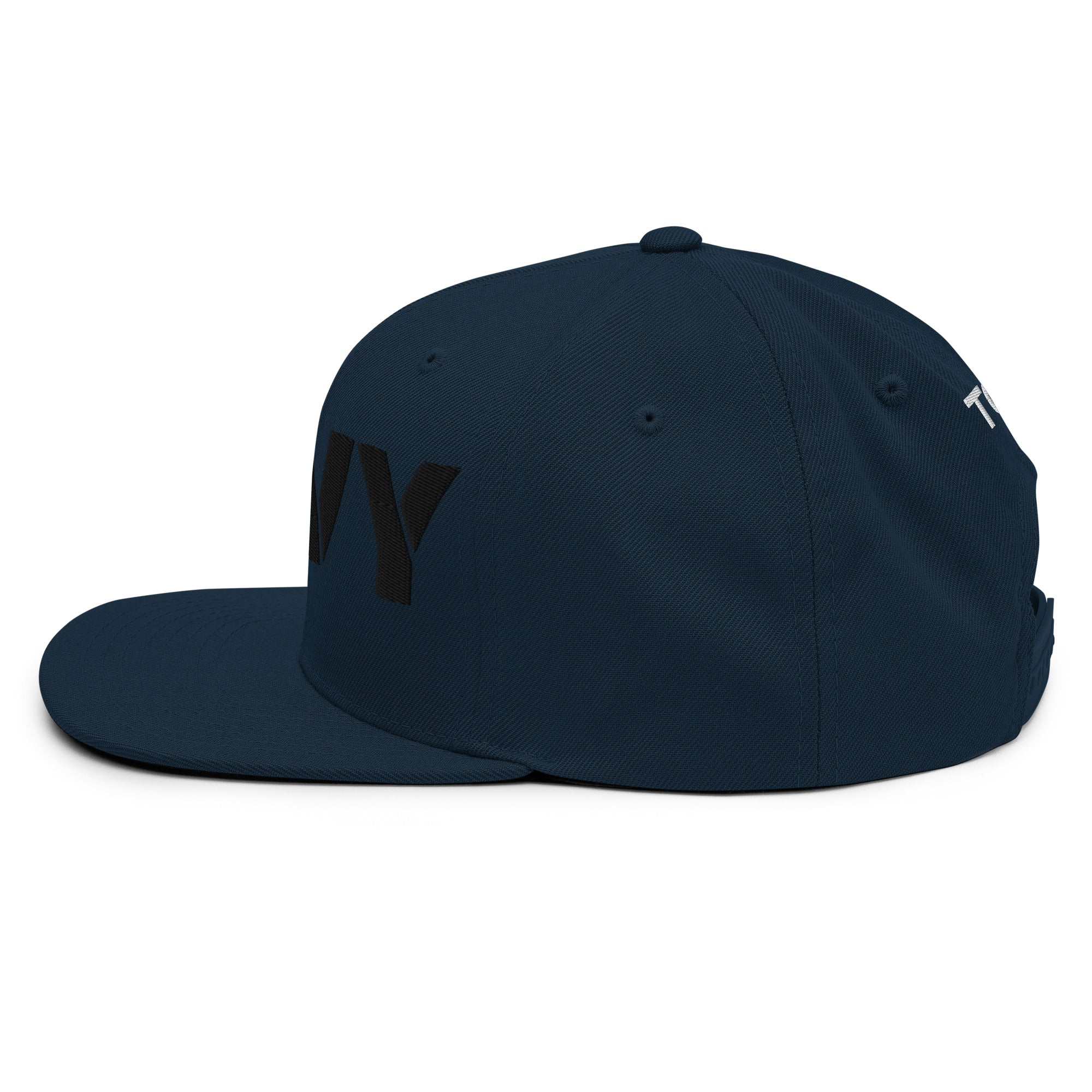 TGT Navy Snapback Cap