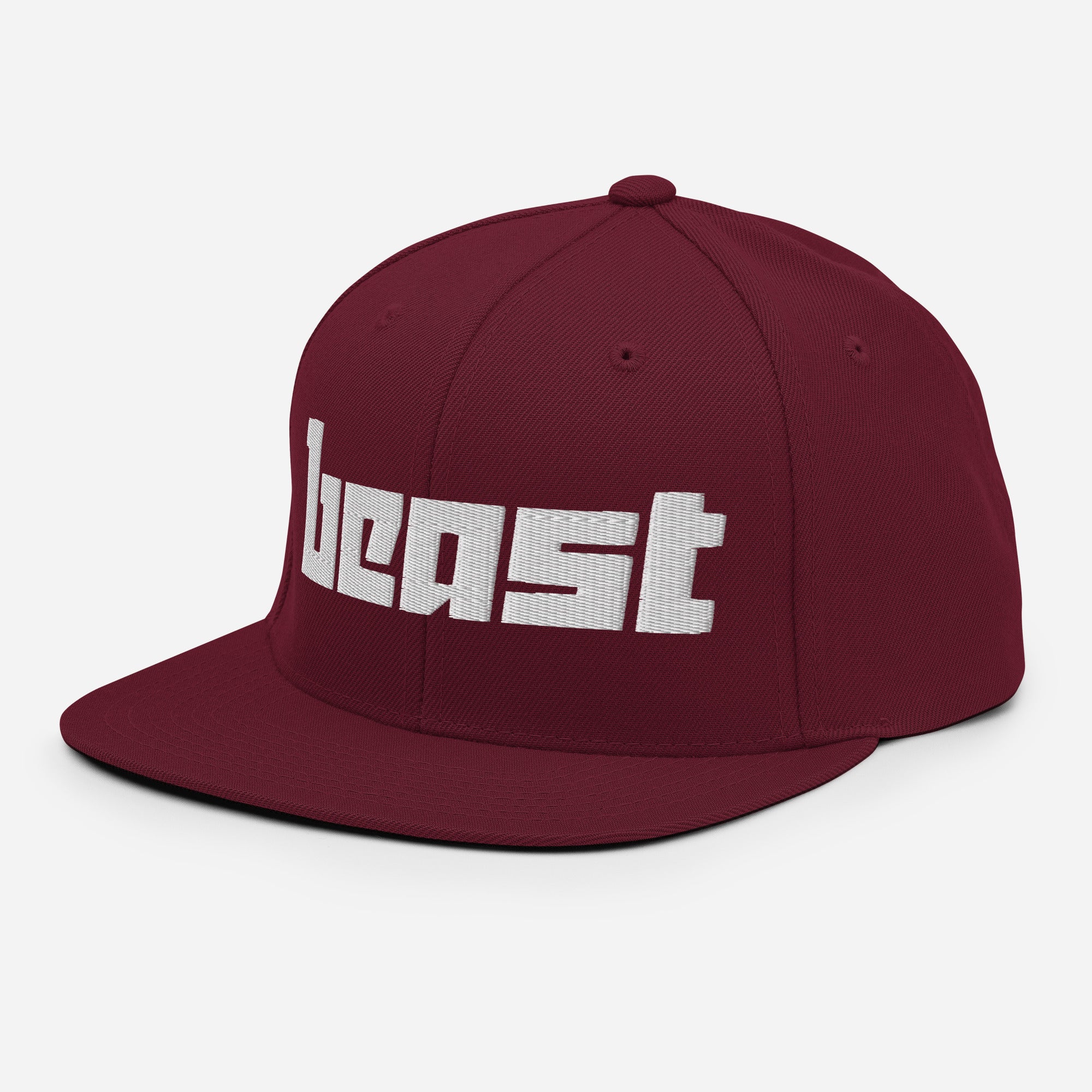 TGT Beast Snapback Cap